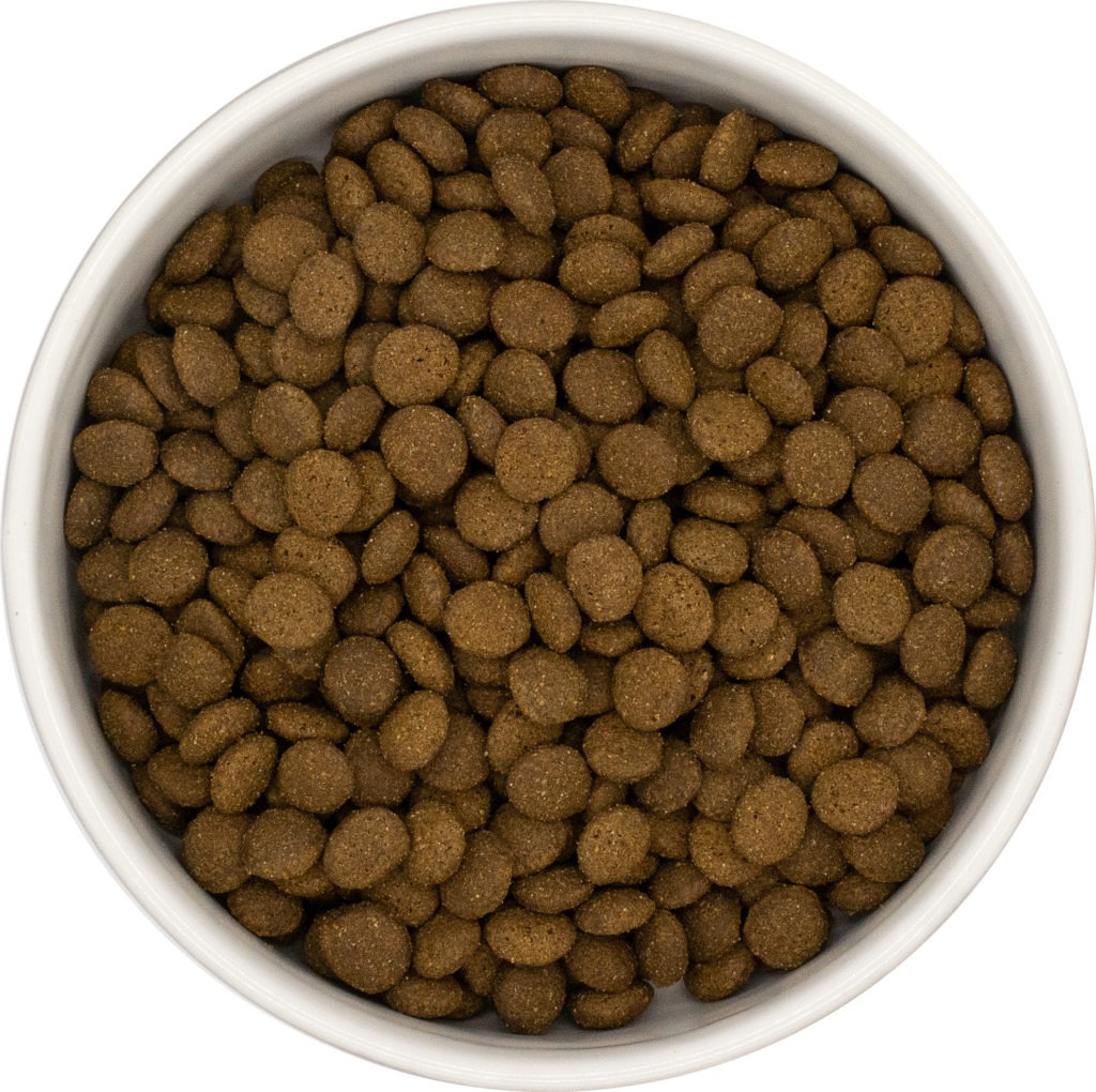 Thumbnail for Ez Starter S Gluten Free Dog Food